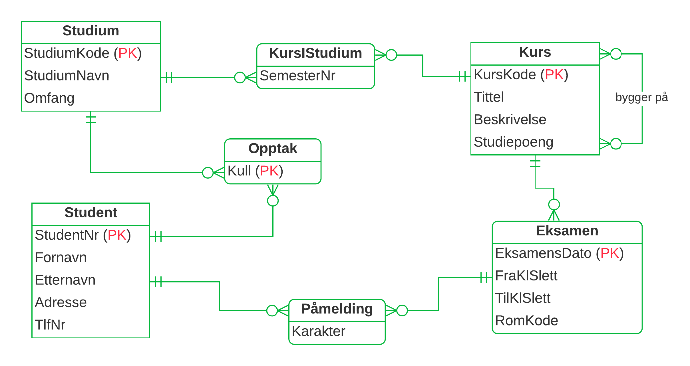 ER-diagram