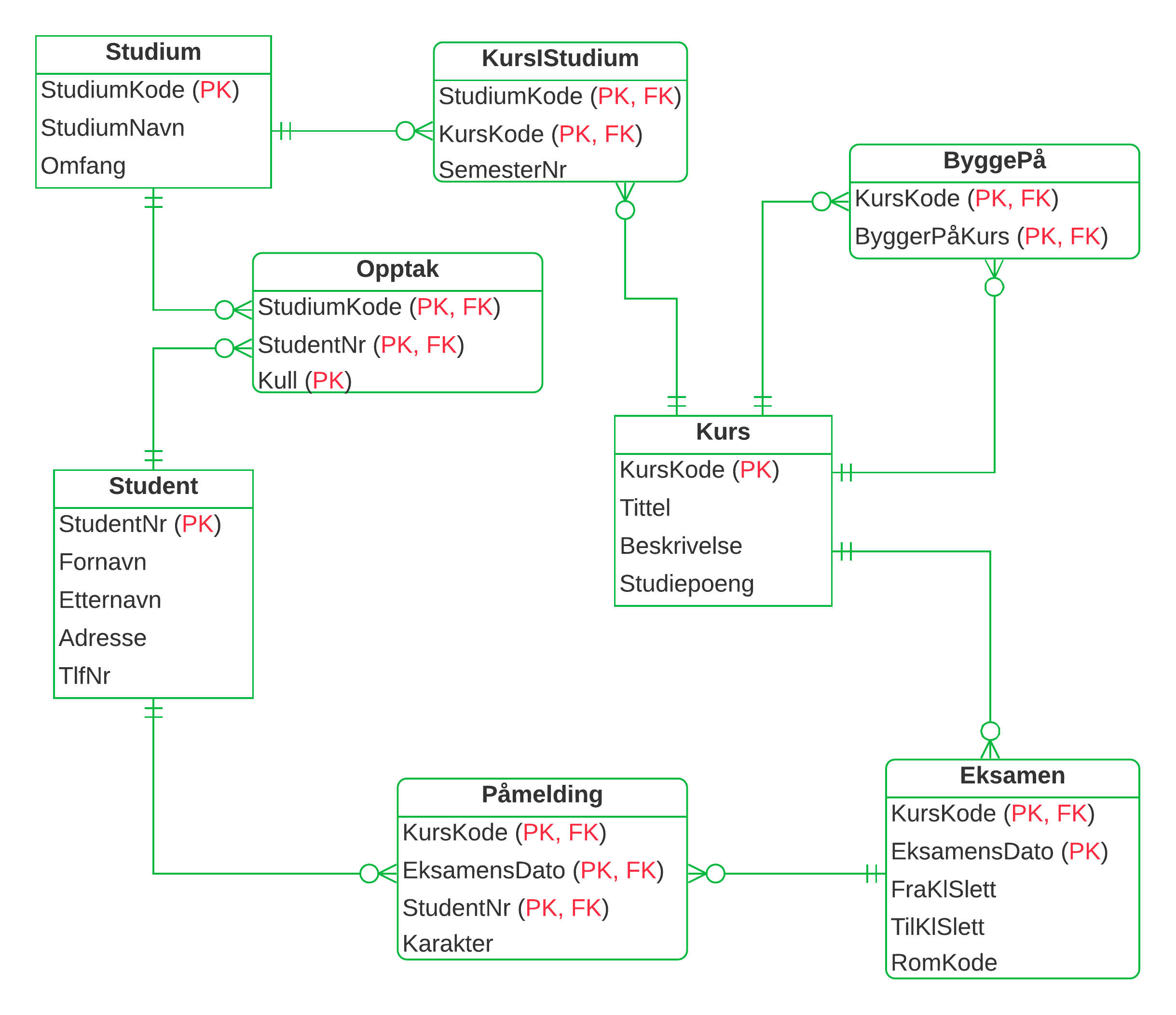 ER-diagram