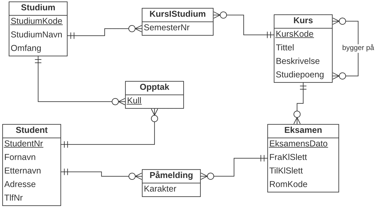 ER-diagram